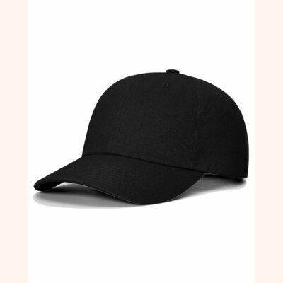 Sustainable Ashland Dad Hat Thumbnail