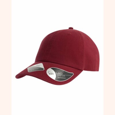 Sustainable Dad Hat Thumbnail