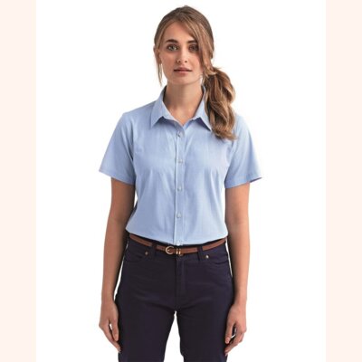 Women's Microcheck Gingham Short Sleeve Cotton Dress Shirt Thumbnail