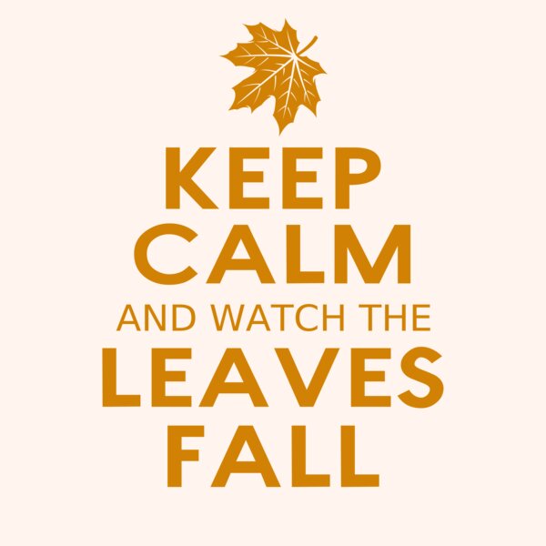 Fall Season 04 Thumbnail
